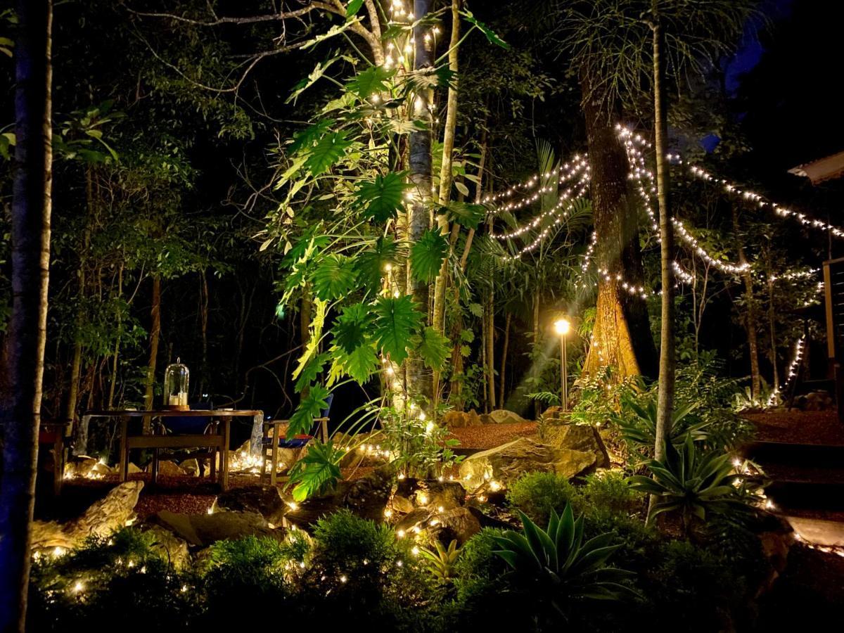 Cairns Rainforest Retreat Buitenkant foto