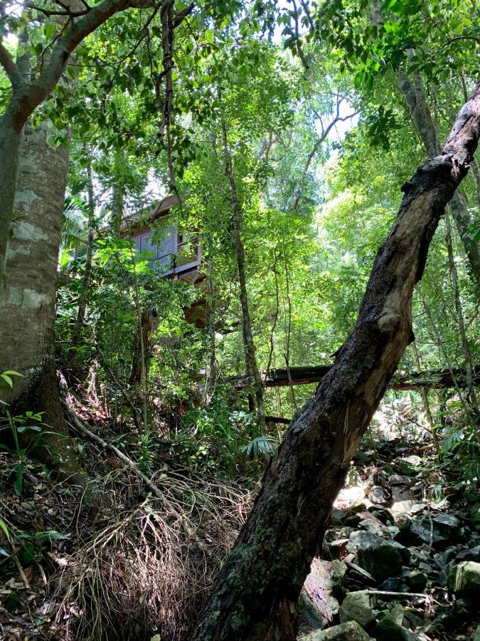 Cairns Rainforest Retreat Buitenkant foto