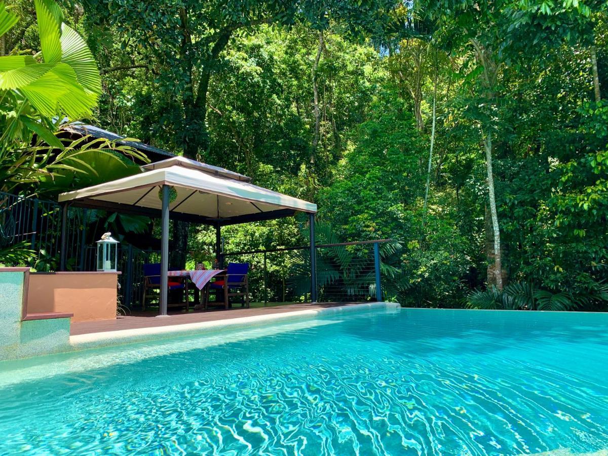 Cairns Rainforest Retreat Buitenkant foto