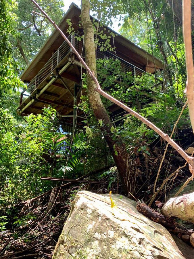 Cairns Rainforest Retreat Buitenkant foto