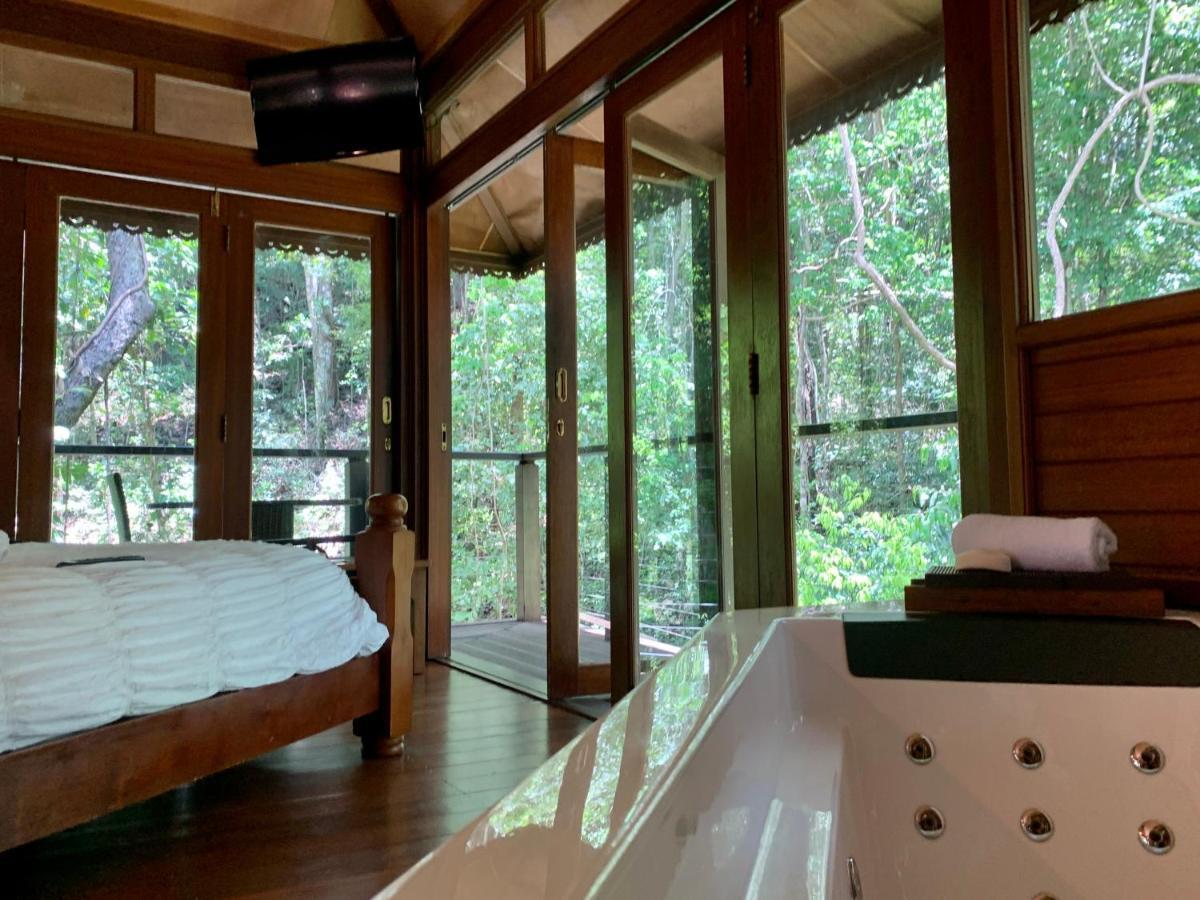 Cairns Rainforest Retreat Buitenkant foto