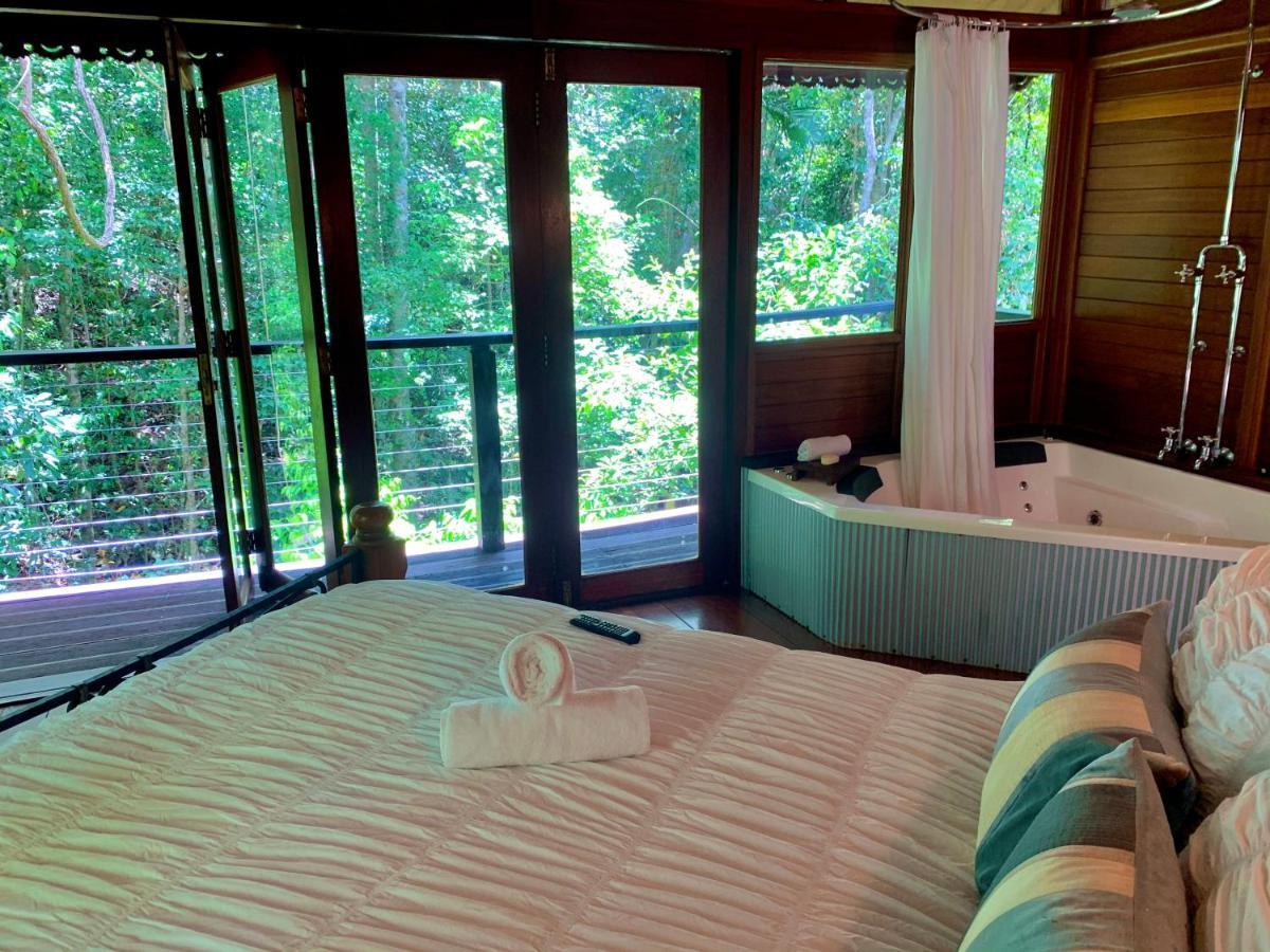Cairns Rainforest Retreat Buitenkant foto