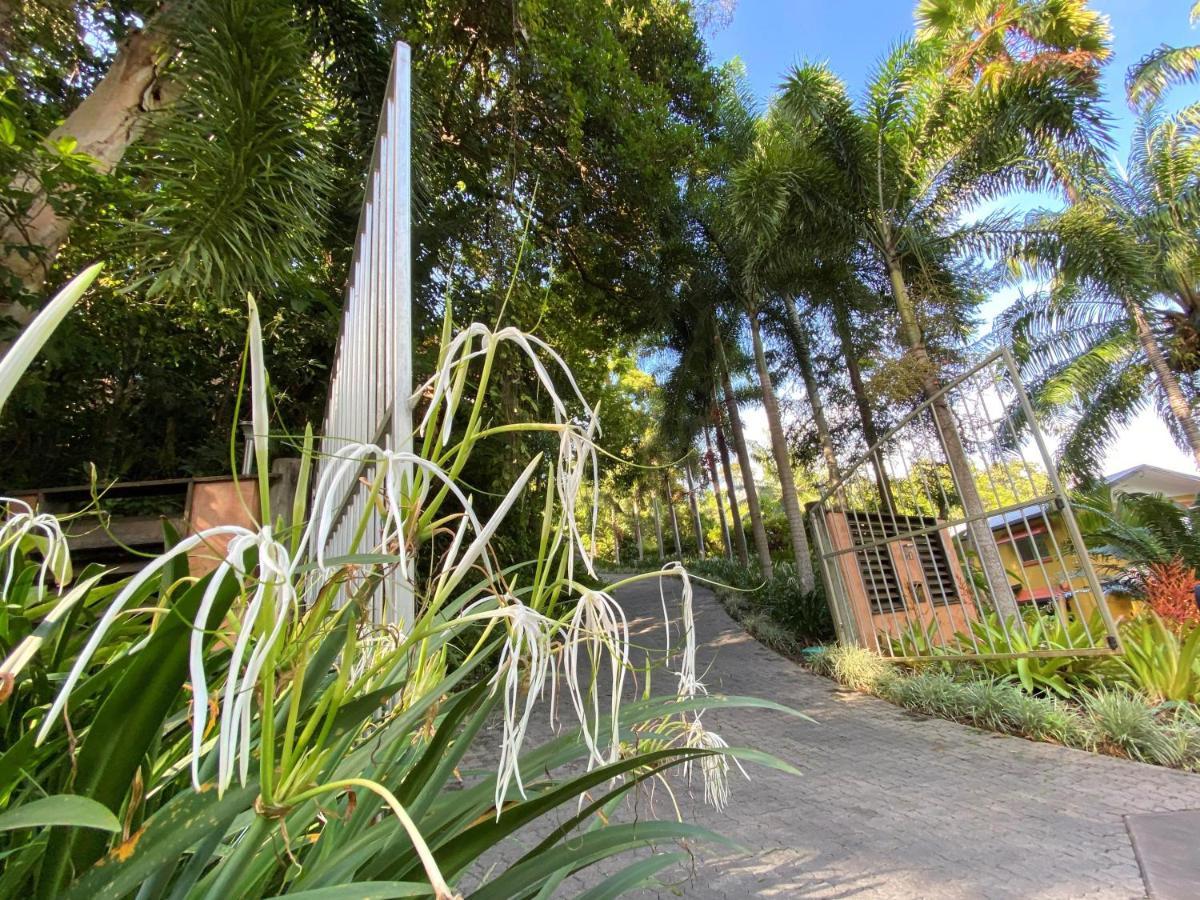 Cairns Rainforest Retreat Buitenkant foto